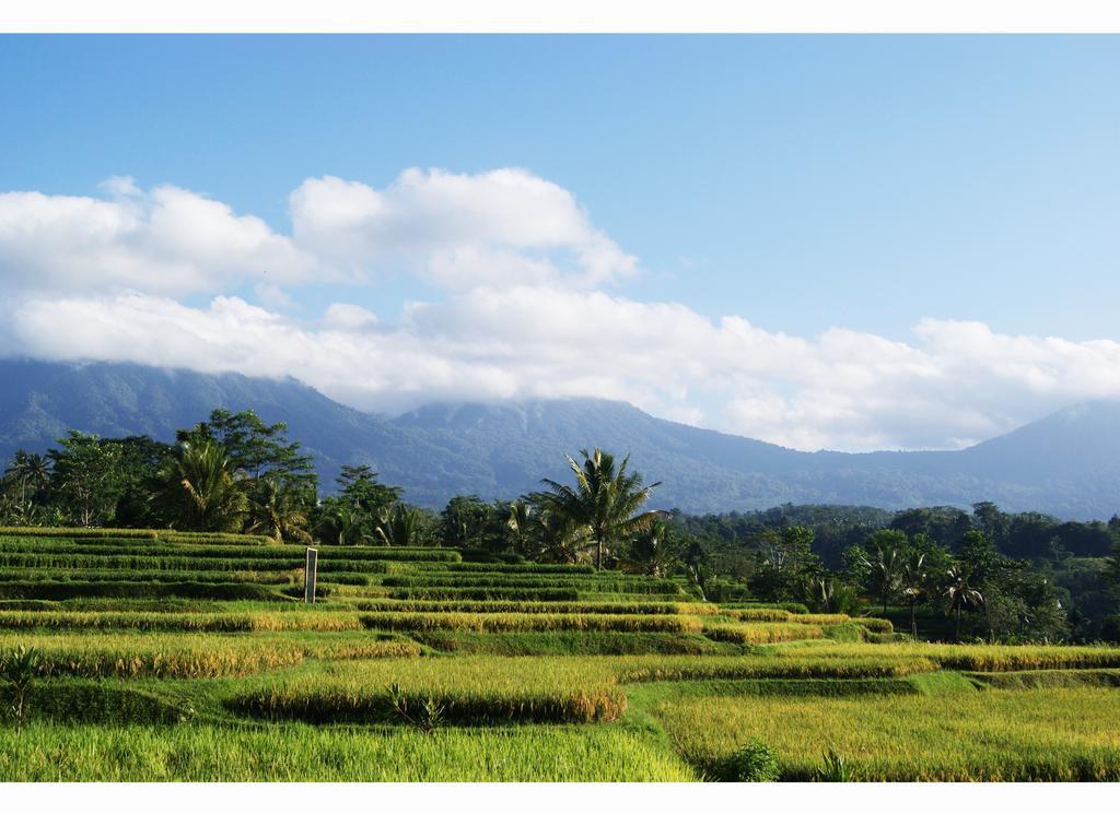 Готель Ti Amo Bali Джатілувіг Номер фото