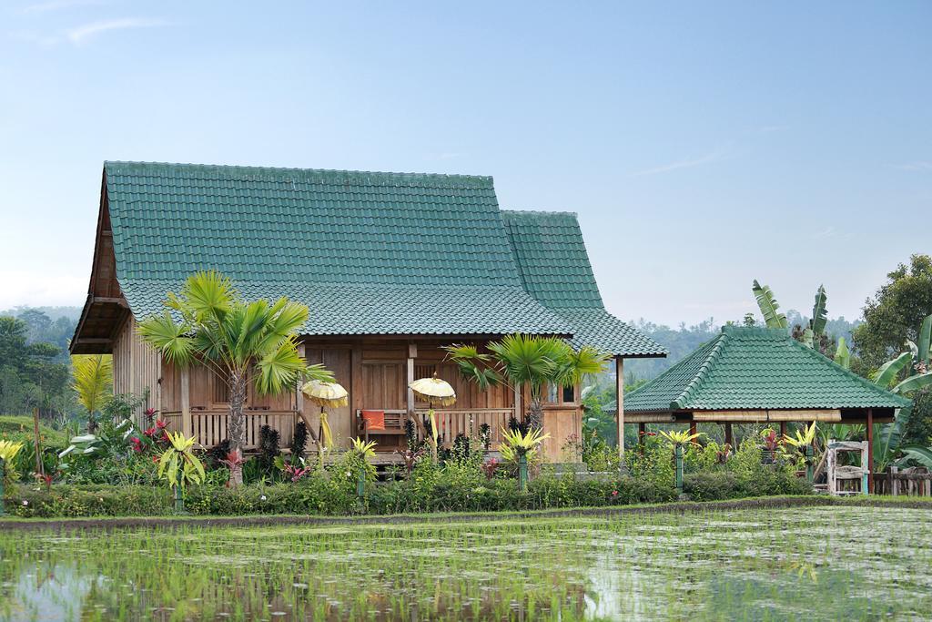 Готель Ti Amo Bali Джатілувіг Екстер'єр фото