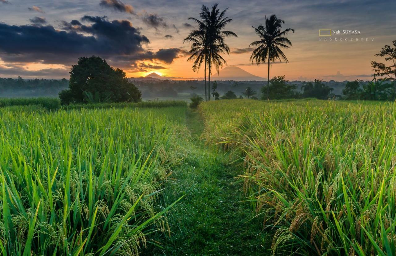 Готель Ti Amo Bali Джатілувіг Екстер'єр фото