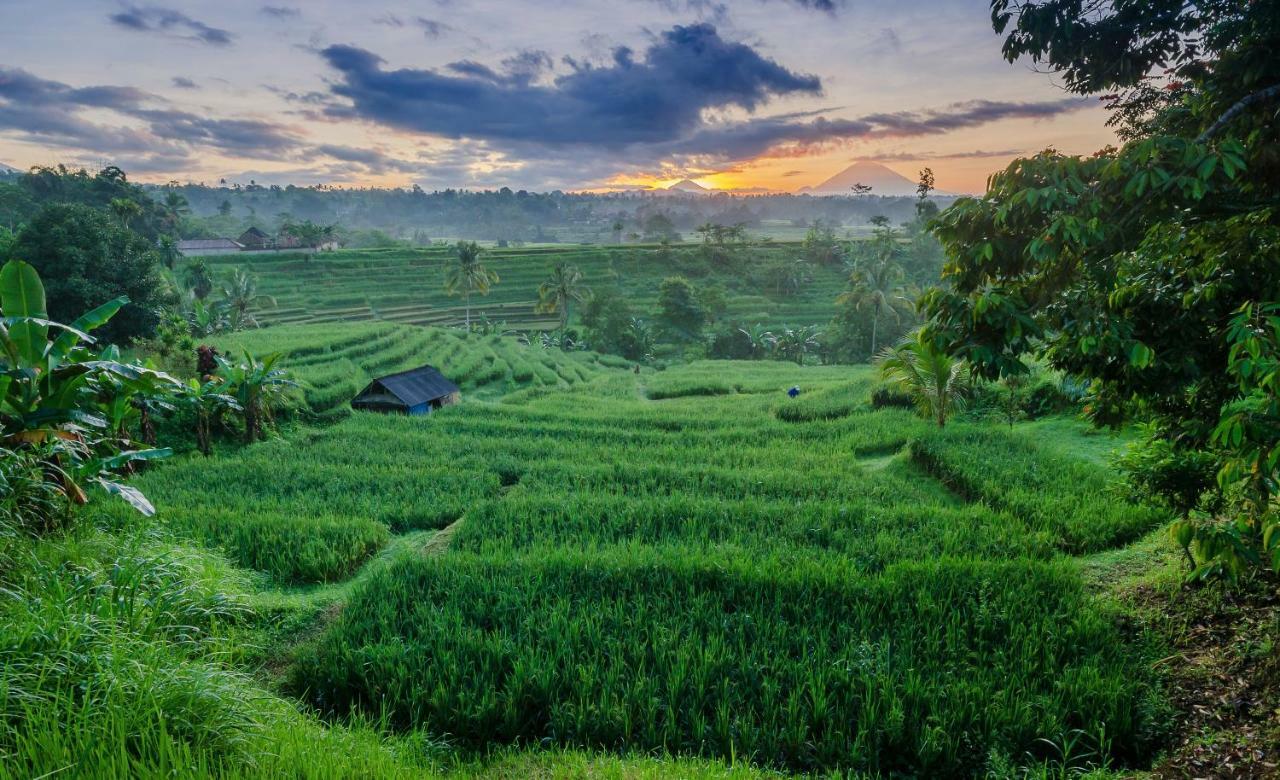 Готель Ti Amo Bali Джатілувіг Екстер'єр фото